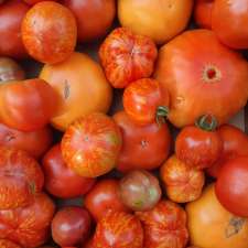 Duurzame Growers | 7361 Sideroad 4 RR# 2, Ariss, ON N0B 1B0, Canada