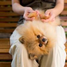 Westmount Neighbourhood Pet Clinic | 851 Wonderland Rd S, London, ON N6K 4T2, Canada