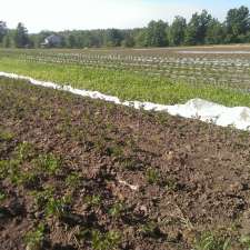 Whole Circle Farm | 8786 Wellington Road 50, Acton, ON L7J 1W9, Canada