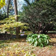 Shade Garden | Montreal, QC H1X 2B4, Canada
