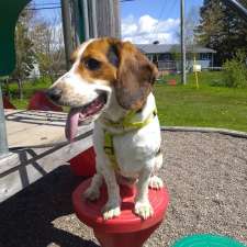 Fun Park | 272 Skyridge Ave, Lower Sackville, NS B4C 1S4, Canada