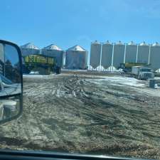Willms Farms | 131015, Township Rd 84, Grassy Lake, AB T0K 0Z0, Canada