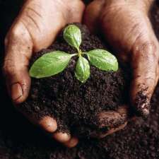 Cerro Topsoil | 1918 Hamilton Rd, London, ON N6M 1G3, Canada