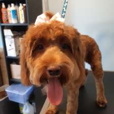 Spiffy Pups Pet Grooming | 431 Bruce St, Hepworth, ON N0H 1P0, Canada