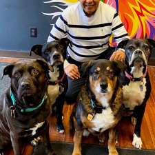 Julio Parra-PetNutritionist | 501 Wilkins St, London, ON N6C 5G2, Canada