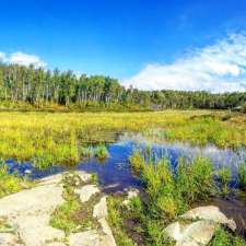 Lake Laurentian Conservation Area | 2309 S Bay Rd, Sudbury, ON P3E 6H7, Canada