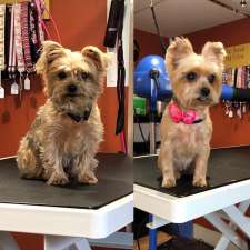 Kristal Clean Pet Grooming | 26 O'Neal Rd, Second North River, NB E4J 3Z3, Canada