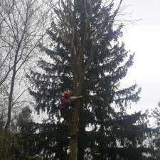 MW Tree Services | RR5, 7706 Wellington 22, Guelph, ON N1H 6J2, Canada