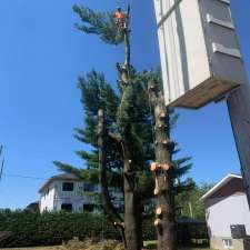 Abattage d'arbres Desjardins-élagage, émondage Saint-Amable | 986 Rue Martin, Saint-Amable, QC J0L 1N0, Canada