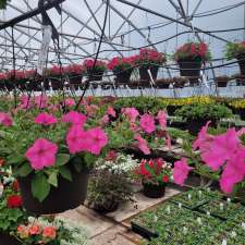 Crowell's Greenhouses | 15343 Longwoods Rd, Bothwell, ON N0P 1C0, Canada