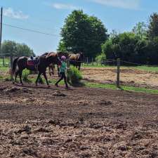 Heartland Equestrian | 9570 Duffs Rd, Ashburn, ON L0B 1A0, Canada