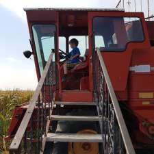 Steinbach Corn Maze and Adventures | 29 Manitoba 12, Steinbach, MB R5G 1N6, Canada