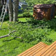 A-1 Tree Care | Princeton Ave, Halifax, NS B3R 1Z9, Canada