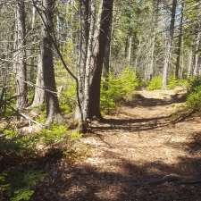 Chignecto National Wildlife Area | 930 Southampton Rd, Amherst, NS B4H 3Y4, Canada