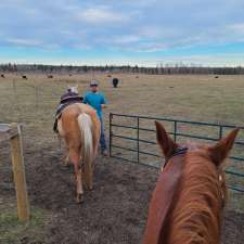 James River Horse Palace | Mountain View County, AB T0M 1C0, Canada