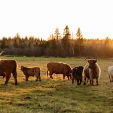 Ferme BMJD | 235 Chem. Maricourt, Racine, QC J0E 1Y0, Canada