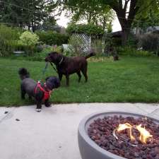 Waterloo Street Neighbourhood Park | 433 Waterloo St., Port Elgin, ON N0H 2C1, Canada