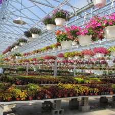 Lavocat's Family Greenhouse and Nursery | 8441 County Rd, East Amherst, NY 14051, USA