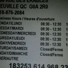 Bp Neuville | 680 Rue des Erables, Neuville, QC G0A 2R0, Canada