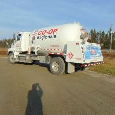 Co-op Régionale Verner Propane | 4 Principal W St, Verner, ON P0H 2M0, Canada