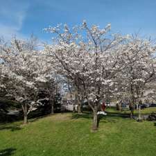 Mini Blossom Park | Lower Don Lands, Toronto, ON M5A 1B1, Canada