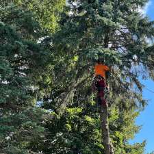 GreenCare Tree Services | 808 Courtland Ave E, Kitchener, ON N2C 1K3, Canada