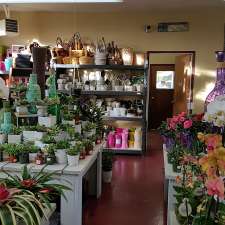 Colyn's Nursery & Garden Centre | 4860 Beaver Creek Rd, Port Alberni, BC V9Y 7C9, Canada