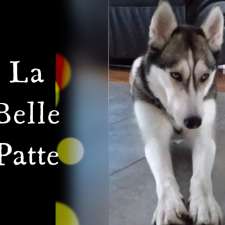 La belle patte - Distribution de mets crus pour animaux | 213 Bd Champlain, Candiac, QC J5R 3T3, Canada