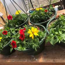MacVicar Family Growers | 1889 Nicolls Rd, Merritt, BC V1K 1N7, Canada