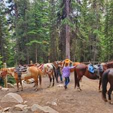Timberline Tours Ltd | 101 St Piran Rd, Lake Louise, AB T0L 1E0, Canada