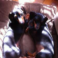 London Integrative Veterinary Services | 1889 Wharncliffe Rd S, London, ON N6L 1K2, Canada