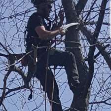 P.C. Tree Service | 3 Bank St S, Millbrook, ON L0A 1G0, Canada