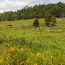 Ferme Nordest | 3816 Rte Eugène Trinquier, Mont-Laurier, QC J9L 3G4, Canada