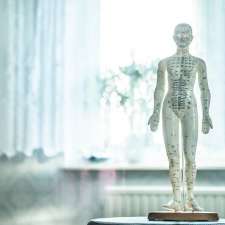 Mario Bissonnette Acupuncture | 255 Rue le Baron, Boucherville, QC J4B 2E4, Canada