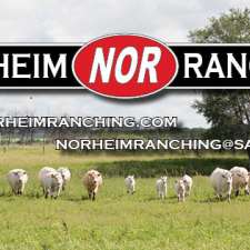 Norheim Ranching | Range Road 2270 and, SK-1, Moose Jaw, SK S6K 4P8, Canada