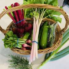 Mange tes légumes - Ferme maraîchère | 4495 Bd Hébert, Salaberry-de-Valleyfield, QC J6S 6J2, Canada