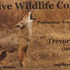 Active Wildlife Control | 20 Ridgeview Rd, Vernon, BC V1B 3S2, Canada
