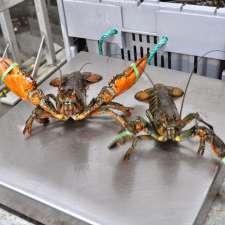 Ship's Lobster Pound | 3 Highway 6649, Nova Scotia Trunk 3, Lower Woods Harbour, NS B0W 2E0, Canada