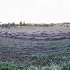 Diamond Farm Services | 5117 9 Line, Erin, ON N0B 1T0, Canada