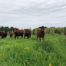 Ferme West Shefford | 254 Chemin Jolley, Shefford, QC J2M 1N4, Canada