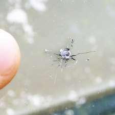 Greater Toronto Windshield Repair Inc. | 49 Barrhead Crescent, Etobicoke, ON M9W 3Z8, Canada
