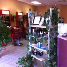 salon117 hair design | Lake City Plaza, 117 Main St, Dartmouth, NS B2X 1R6, Canada