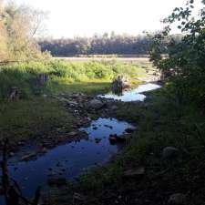 Hiking Trail | Conservation Rd, Guelph/Eramosa, ON N1H 6J1, Canada