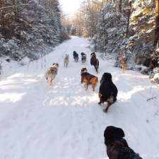 Le Berger du Bois Vert | 806a Rang 8 et 9, Saint-Rémi-de-Tingwick, QC J0A 1K0, Canada