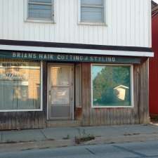 Brian's Haircutting & Styling | 2028 Main St S, Jarvis, ON N0A 1J0, Canada