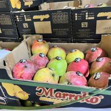 Rainforest Produce Imports | 1 Westside Dr unit 5, Etobicoke, ON M9C 1B3, Canada