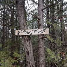 Crow's Nest Environmental | 432A Homan Rd, Corbyville, ON K0K 1V0, Canada