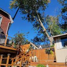 Lupenette Tree Service | 149 Lingham St, Belleville, ON K8N 3T3, Canada