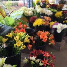 The Flower Lady and Gent | 7440 Pack Rd, London, ON N6P 1M1, Canada