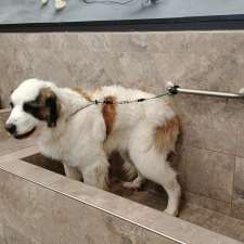 Pet Valu | 631 Commissioners Rd E, London, ON N6C 2V1, Canada